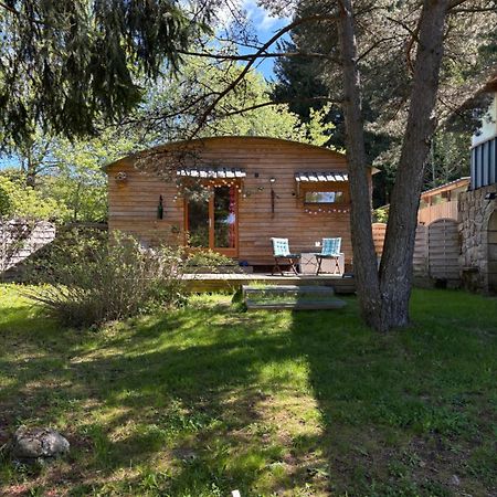 Chalet Grenouille Domaine De La Mamounette Champclause Exterior photo